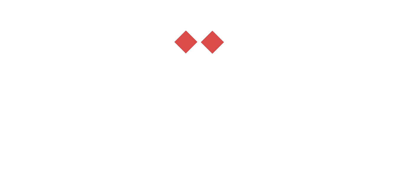 PRIM Logo